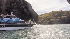 Akaroa Tour with Harbour Cruise